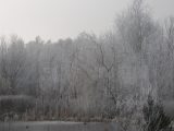 Winter (2/3)